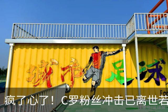 疯了心了！C罗粉丝冲击已离世若塔社媒：把球传给C罗